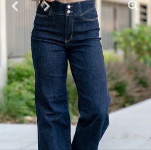 NWT Judy Blue Dark Wash Denim